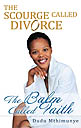 The Scourge Called Divorce project management
